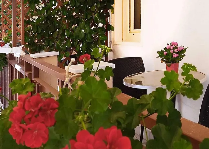 ベッド・アンド・ブレックファスト Solaris ミラッツォ